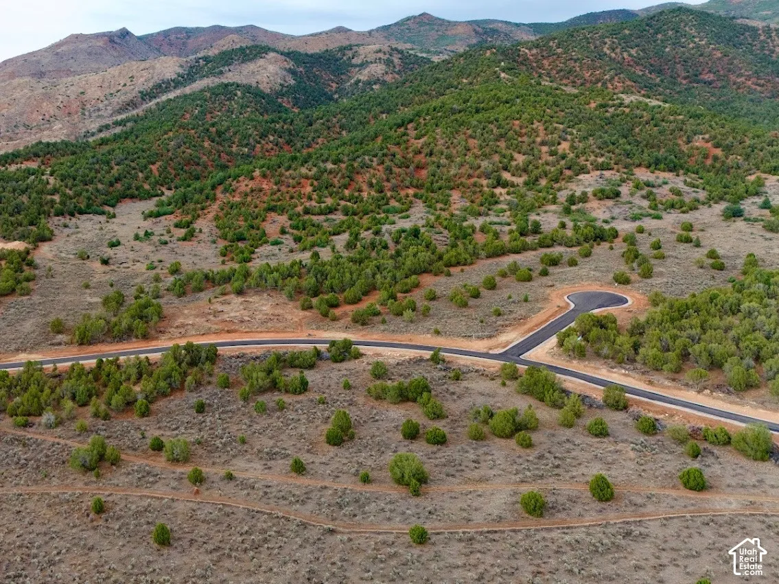 Expansive undeveloped parcel featuring native vegetation, paved roads, and mountain topography