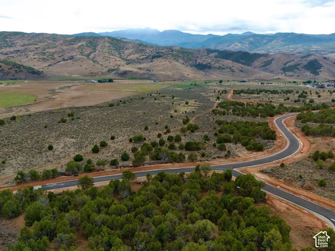 Aerial perspective of undeveloped land featuring paved asphalt roadways, native evergreen vegetation, expansive terrain, and a prominent mountain range backdrop
