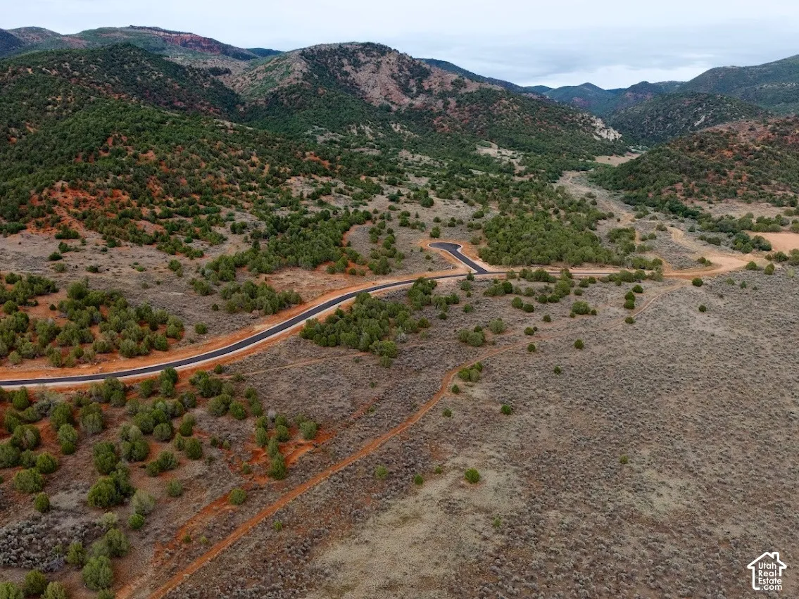 Expansive parcel featuring mature native vegetation, paved roads, and rolling mountainous terrain
