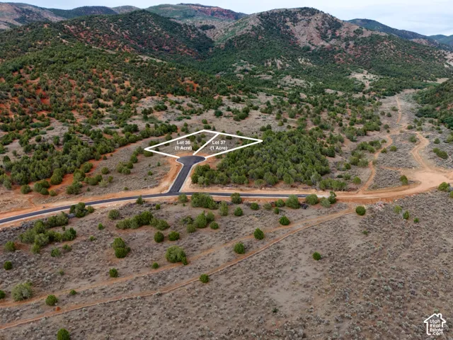 Vacant land offering 1-acre parcels featuring paved road access, native vegetation, and surrounding mountain terrain