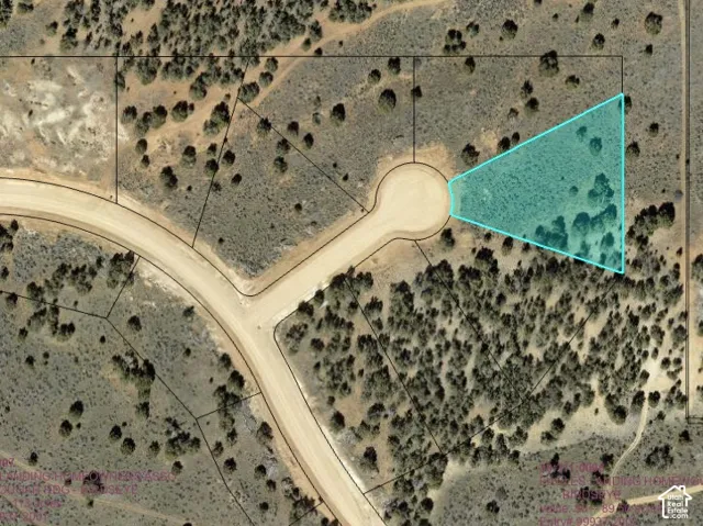 Plat Map. Aerial depiction of the property boundaries and land parcel configuration