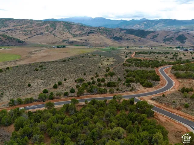 Aerial perspective of undeveloped land featuring paved asphalt roadways, native evergreen vegetation, expansive terrain, and a prominent mountain range backdrop