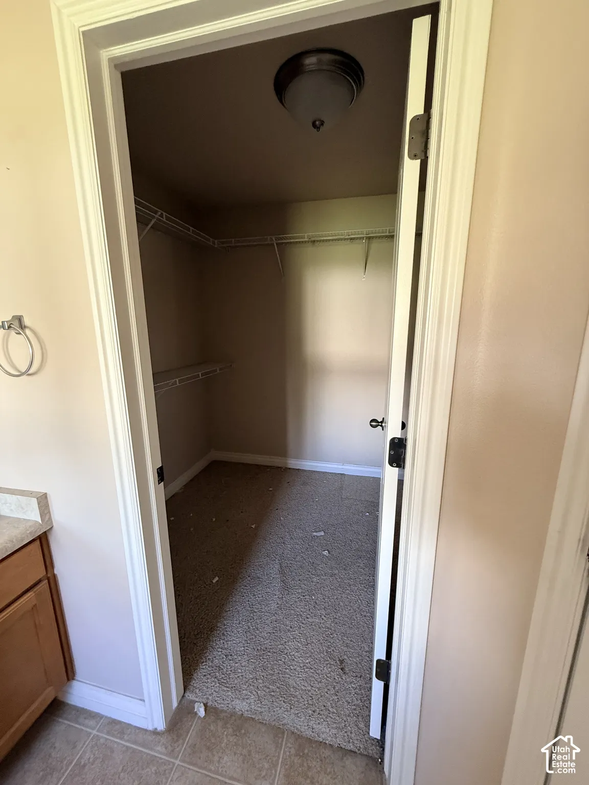 Walk-in closet featuring wire shelving, carpeting, and a flush-mount ceiling light fixture