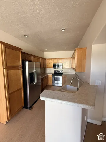 Kitchen featuring wood cabinetry, stainless steel appliances, recessed ceiling lighting, a peninsula counter, and a single-basin sink with a gooseneck faucet
