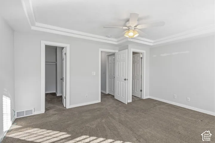 Tray ceiling with integrated lighting, neutral carpeting, and multi-panel interior doors