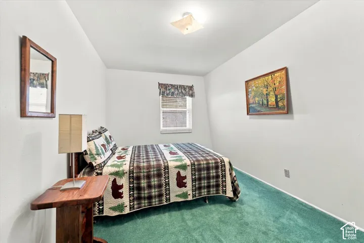 Neutral-toned walls, green wall-to-wall carpeting, single-pane window, and a central ceiling-mounted light fixture