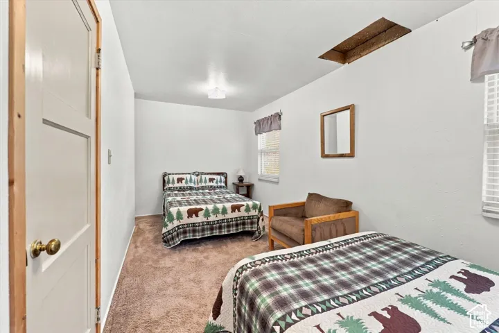 Interior room featuring neutral carpeting, a multi-panel door with wood-finish trim, dual windows with valances, and a ceiling-mounted light fixture