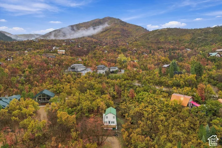 Aerial perspective featuring a multi-story residence with a green metal roof, nestled within a densely wooded landscape against a prominent mountain backdrop