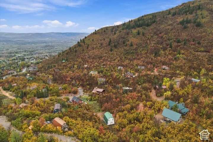 Elevated mountainside landscape featuring dense deciduous vegetation, established winding roadways, and scattered residential structures