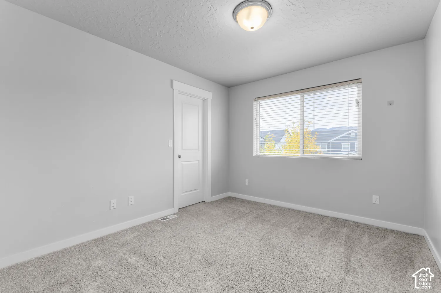 Neutral-toned interior featuring wall-to-wall carpeting, a flush-mount ceiling light fixture, and a single-panel interior door with wide trim