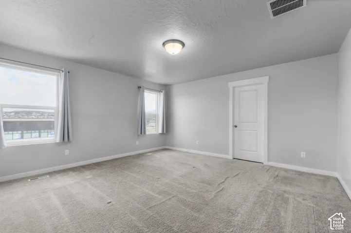 Neutral-toned interior space featuring light gray wall paint, wall-to-wall carpeting, two dual-pane windows, and a classic-panel interior door
