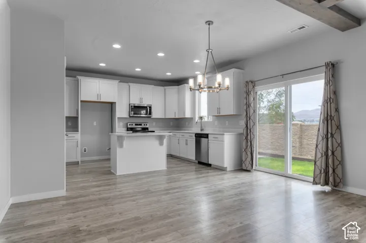 Kitchen featuring white cabinetry, wood-finish flooring, recessed lighting, a stainless steel appliance suite, and a sliding glass door