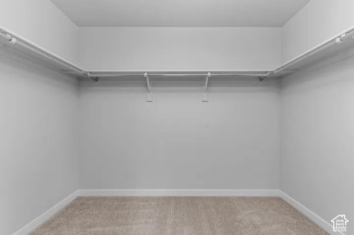 Walk-in closet featuring neutral carpeting and wrap-around built-in shelving with integrated hanging rods
