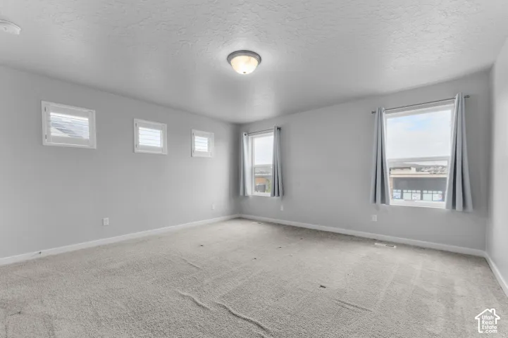 Room featuring neutral-toned carpeting, five windows with various sizes, and a centrally mounted dome-style light fixture
