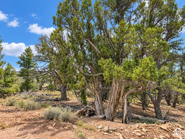 Unit 5, Fruitland, Utah 84027