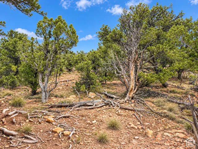 Unit 5, Fruitland, Utah 84027