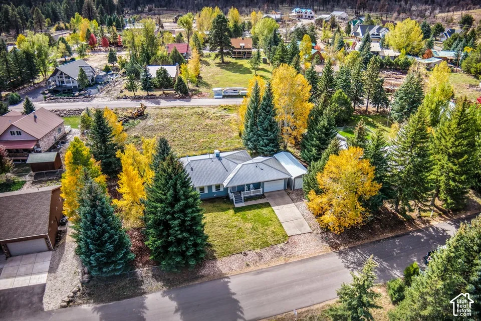 Single-story residence featuring a metal roof, attached two-car garage, concrete driveway, and mature coniferous and deciduous landscaping on a lot surrounded by established vegetation