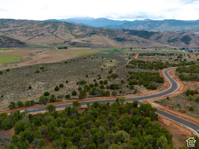 Expansive lot featuring native shrubbery, mature trees, paved roads, and a mountain backdrop