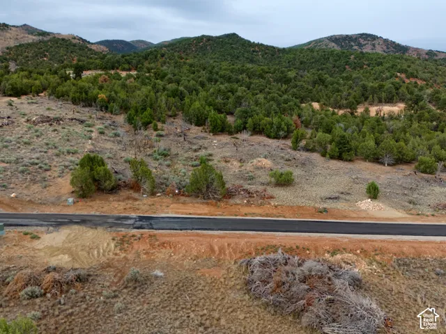 Expansive acreage featuring native pinon and juniper trees, paved road frontage, and mountainous terrain