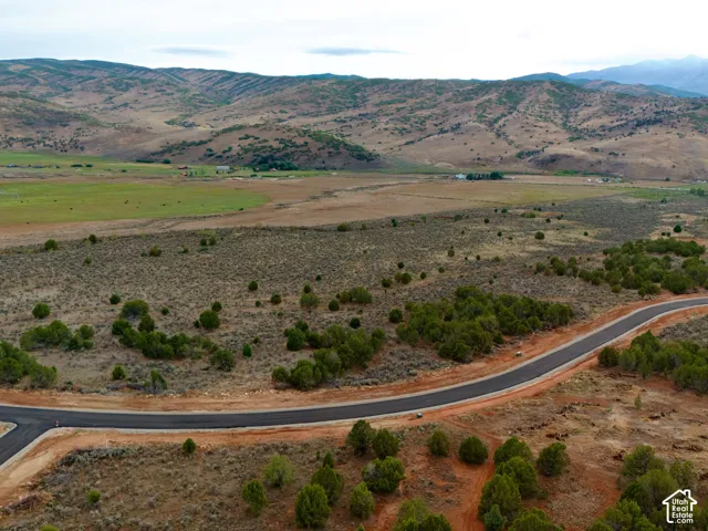 Expansive parcel featuring native vegetation, paved road infrastructure, and mountain topography