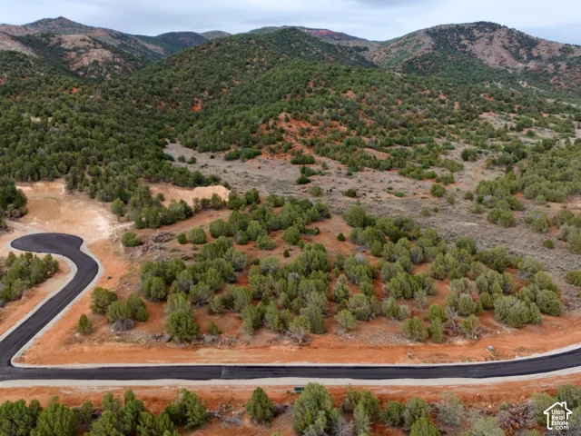 Expansive undeveloped lot featuring native vegetation, paved asphalt infrastructure, and mountain terrain