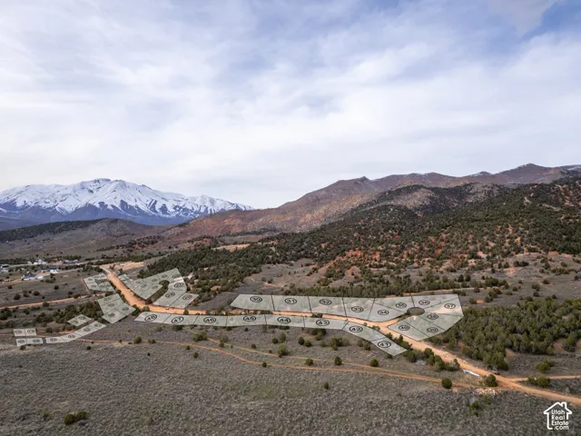 Aerial perspective of subdivided land parcels featuring desert terrain, native vegetation, and a prominent mountain backdrop