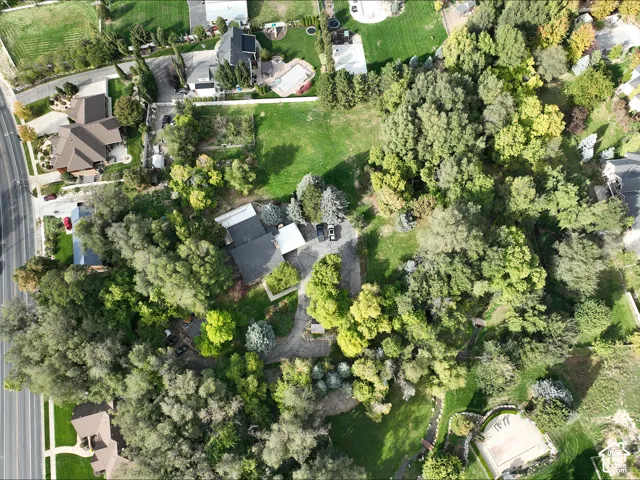 Aerial perspective featuring a large, irregularly shaped lot with expansive lawn space, dense mature trees, and a private winding driveway