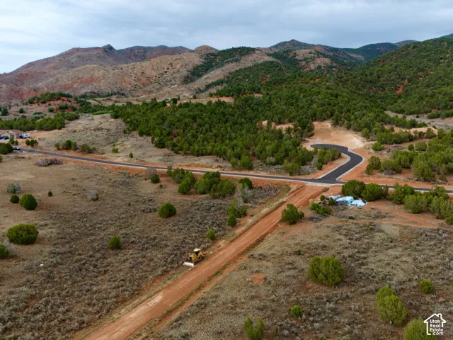 Expansive lot featuring native juniper vegetation, unpaved road access, and mountainous terrain