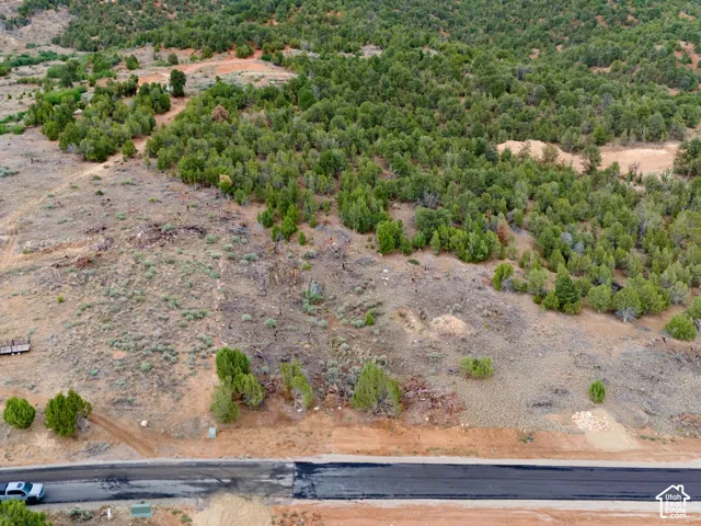 Expansive undeveloped land featuring native terrain, mature evergreen trees, and direct paved road access