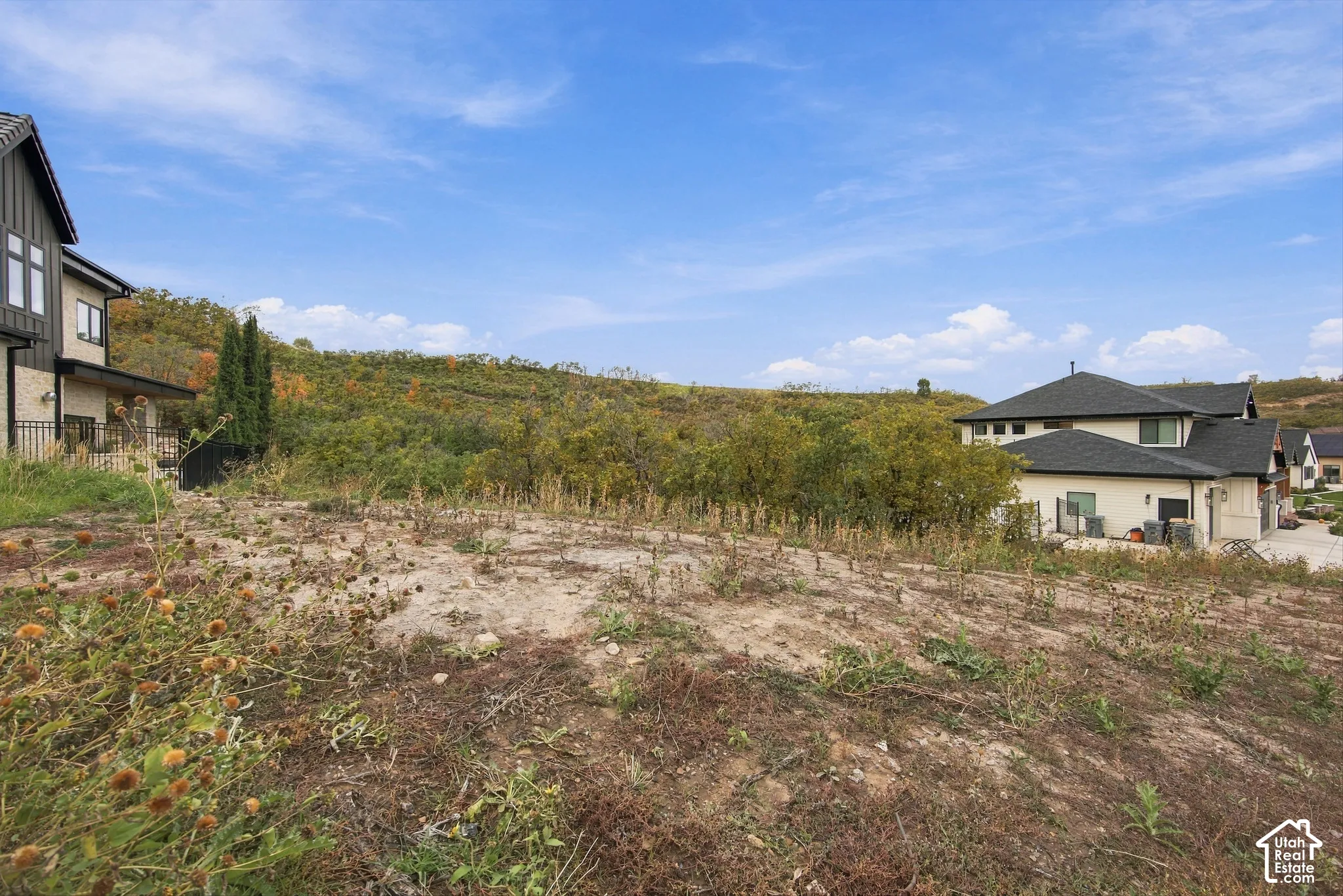 Expansive undeveloped lot featuring hillside terrain and mature foliage