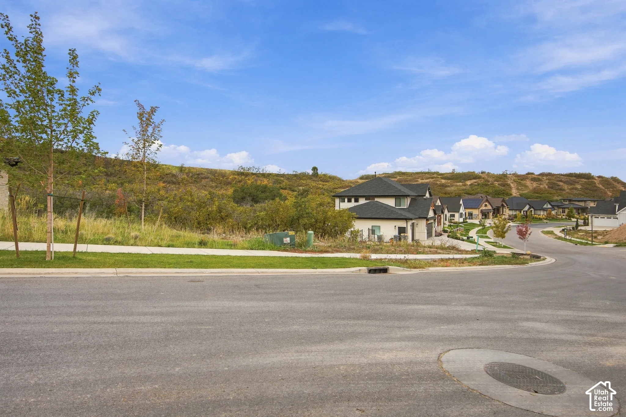 Corner homesite featuring paved street access, concrete curbing, concrete sidewalk, and sloping terrain with native vegetation