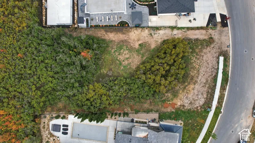 Aerial perspective of a corner lot featuring a concrete swimming pool, stone-paver hardscaping, mature trees, and a asphalt cul-de-sac