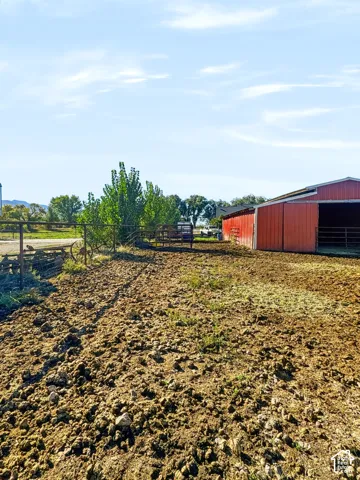 Corral up into the barn.