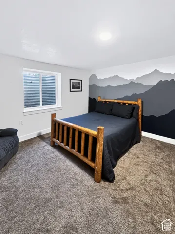 Third basement bedroom with walk-in closet.