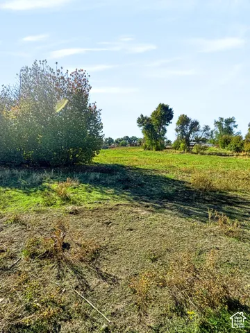 Expansive open land featuring mature trees and established natural vegetation.