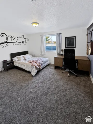 Second basement bedroom with walk-in closet.
