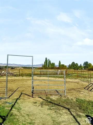 Fenced pasture.