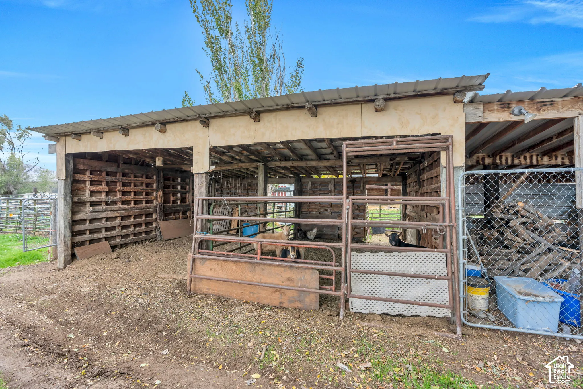 Open-air livestock shelter featuring a metal roof, log-post construction, and integrated metal stall gating