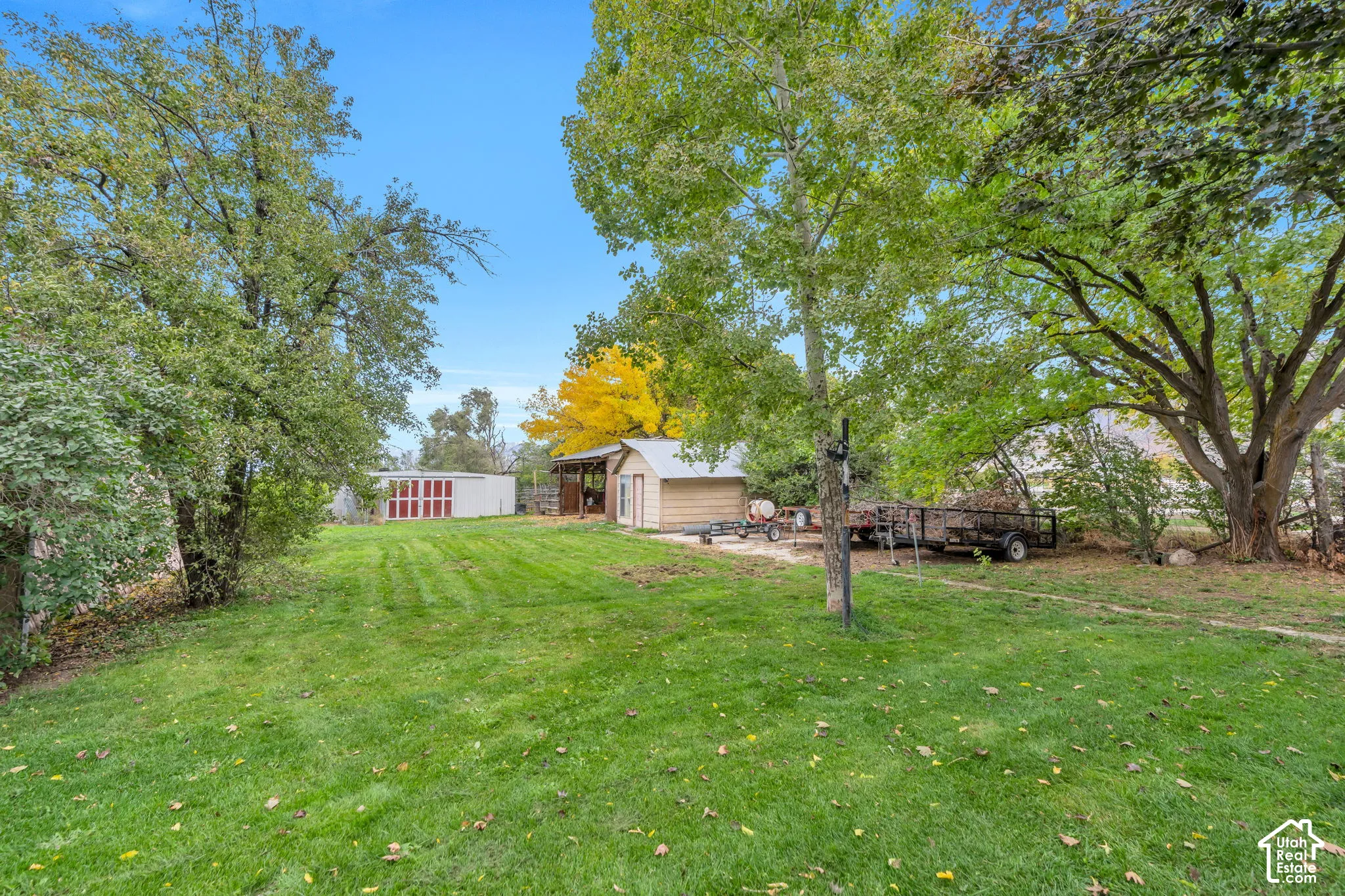 Expansive backyard featuring a grass lawn, mature trees, and two detached storage structures
