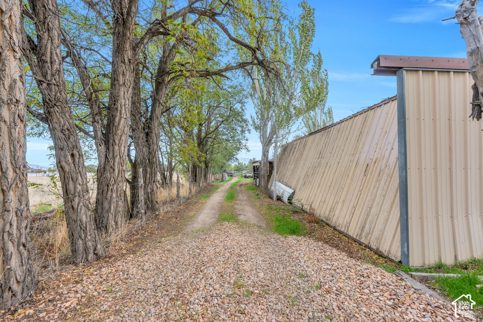 Gravel access path lined with mature trees and a corrugated metal structure