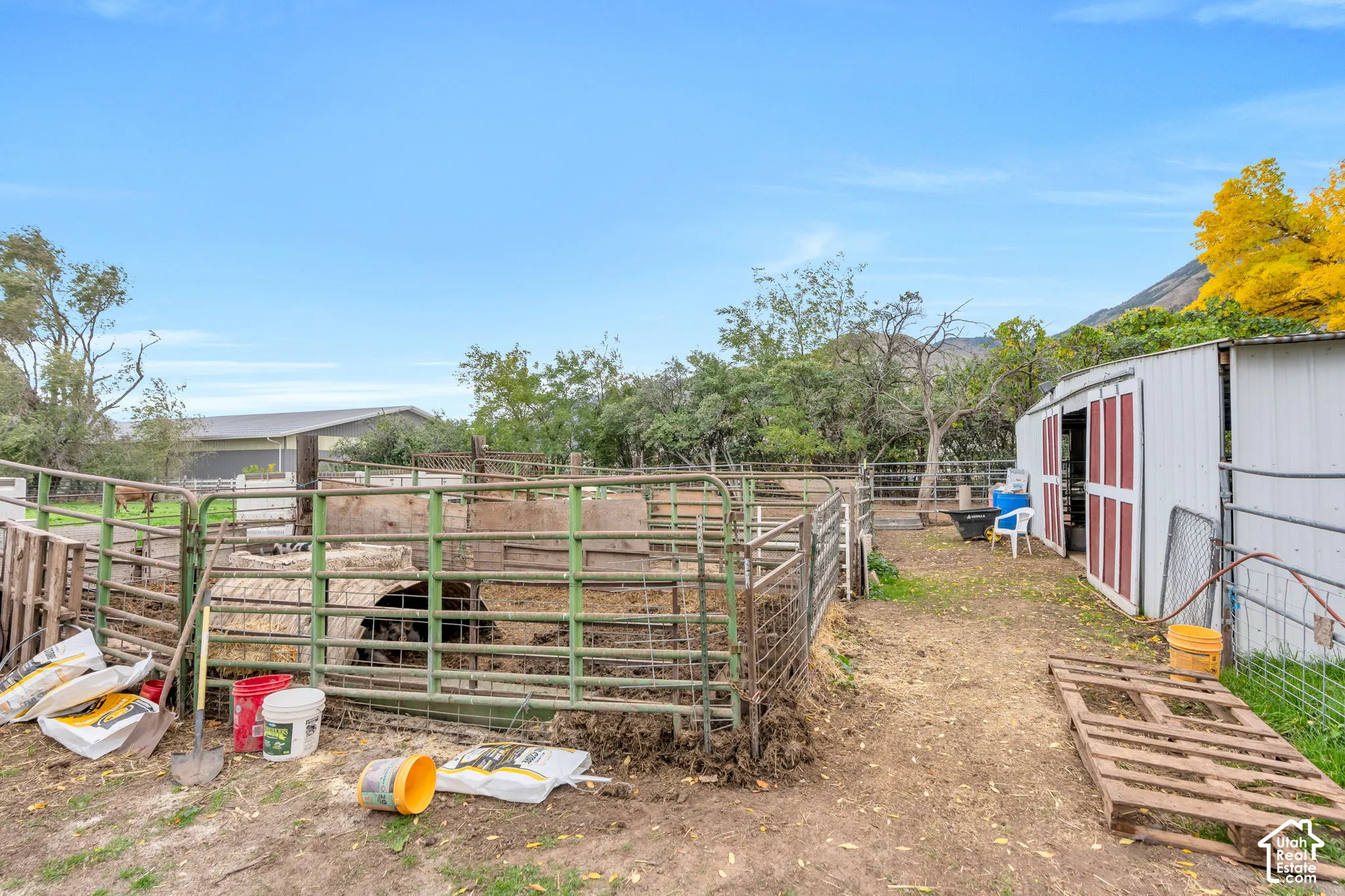 Outdoor space featuring metal perimeter fencing, segmented animal enclosures, and a corrugated metal outbuilding with sliding barn-style doors