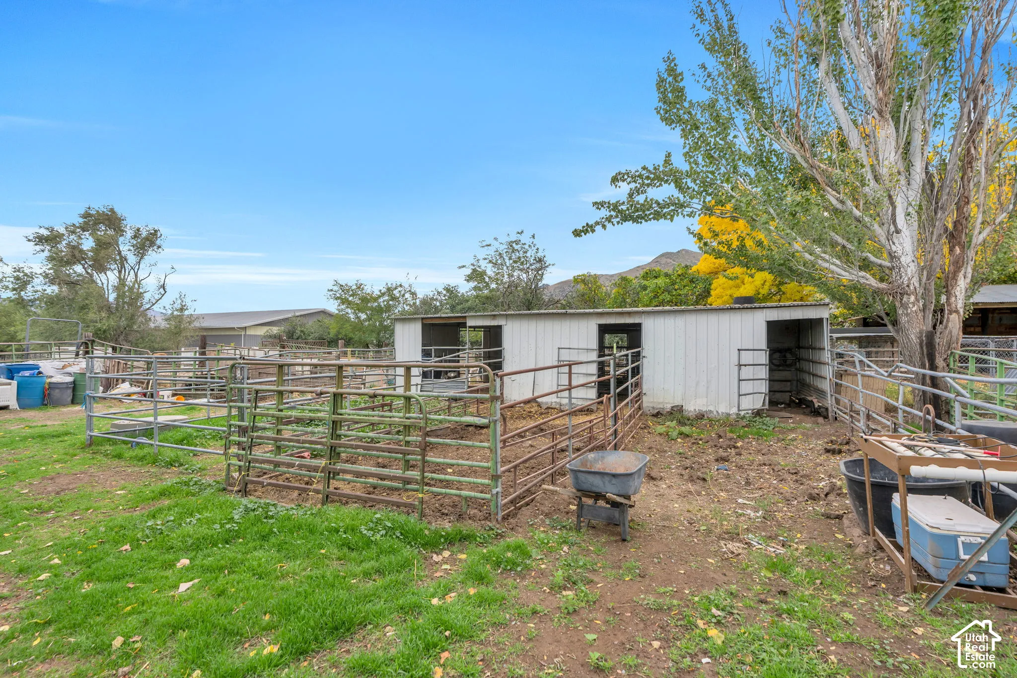 Outdoor animal enclosure featuring a metal-sided shelter, divided corral system with tubular steel fencing, and mature trees against a mountain backdrop