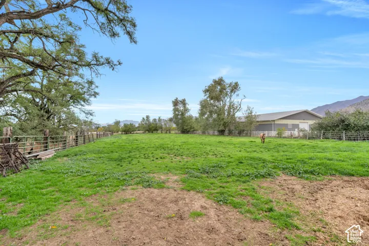 Expansive acreage featuring mature trees, perimeter metal fencing, and a detached outbuilding