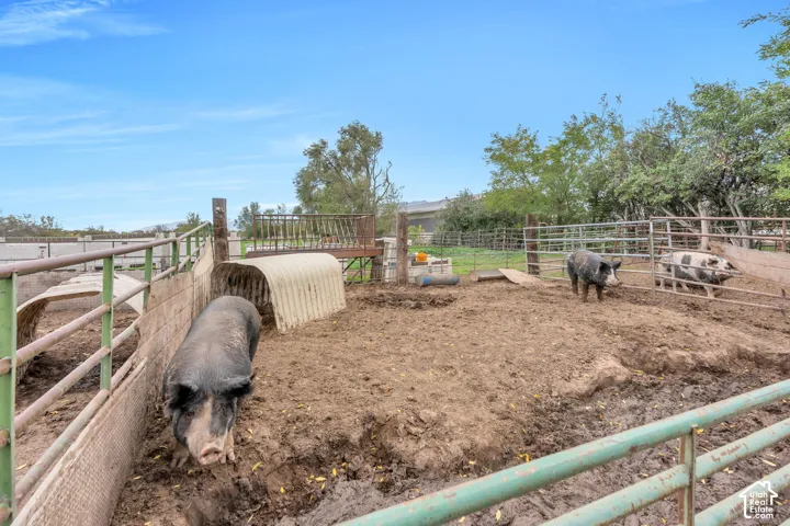 Agricultural enclosure featuring metal perimeter fencing, corrugated steel shelters, and open-air pen space