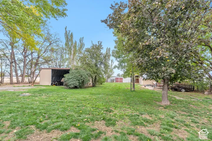 Expansive backyard featuring mature trees, a manicured lawn, and a metal-frame open storage structure