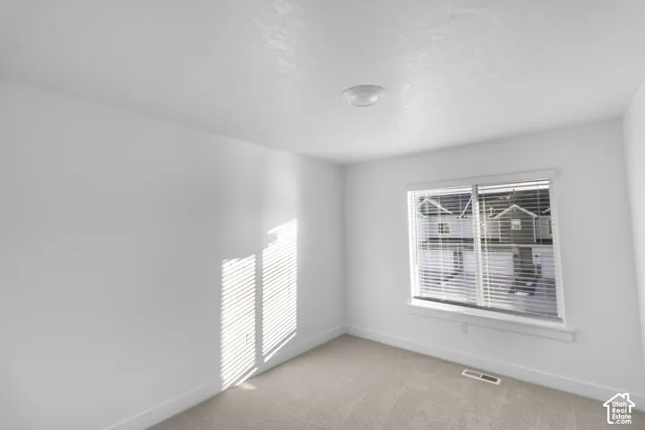 Neutral-toned carpeting, white walls, flush-mount ceiling lighting, and a window with horizontal slat blinds