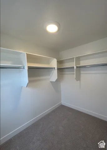 Walk-in closet featuring neutral carpeting, white built-in shelving, metal garment rods, and recessed lighting