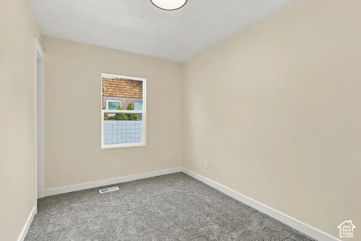Neutral wall tones, grey carpeting, single-pane window with white trim, and ceiling-mounted light fixture