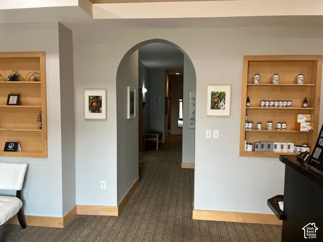 Arched doorway featuring recessed wood-finished shelving units with fixed cabinetry