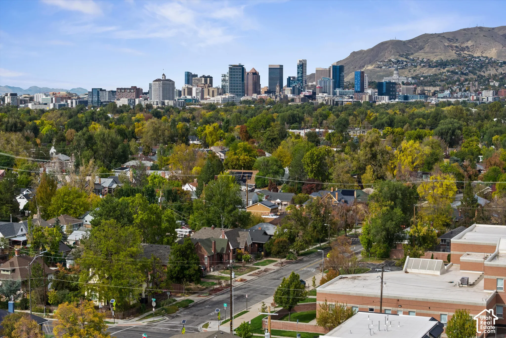 Aerial perspective featuring an urban skyline, expansive mountain range, and established tree canopy